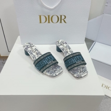 Christian Dior Slippers